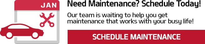 Schedule Maintenance