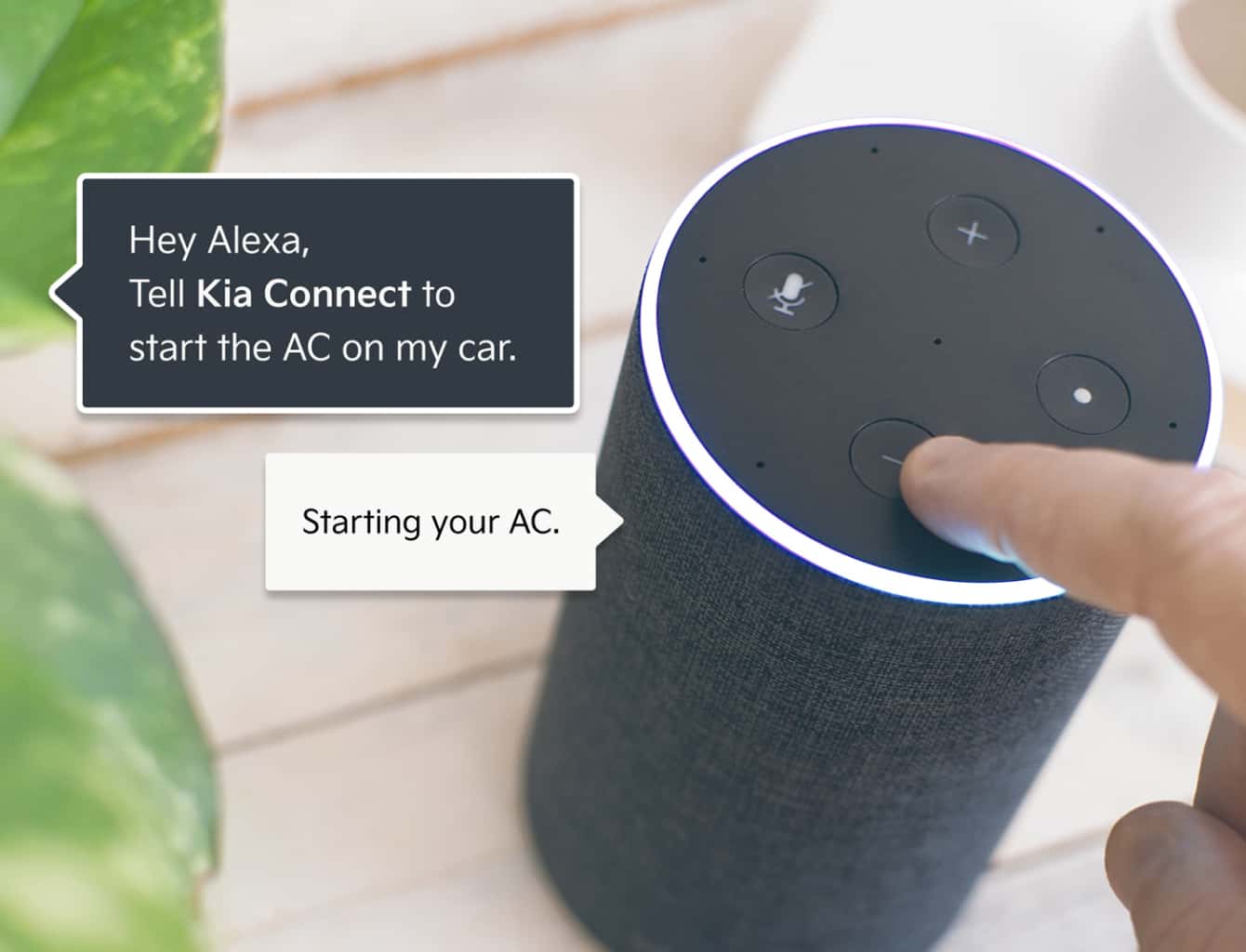 Voice Assistant